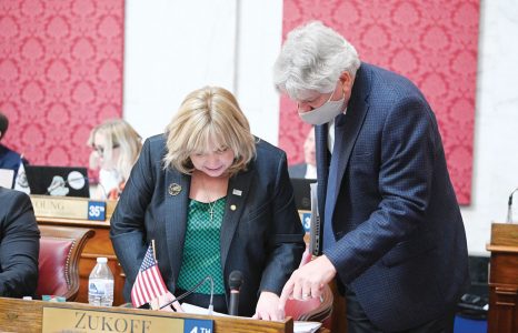 West Virginia House passes bipartisan foster care system bill - News ...